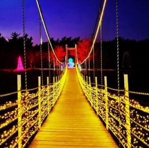 태안 추천 관광지 베스트10 관련 사진