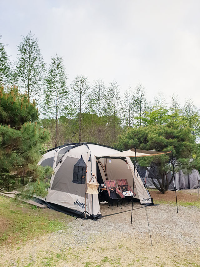 왕송호수 캠핑장 텐트