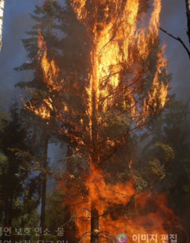 산불 피해 주민을 위한 주거비 지원금 신청방법