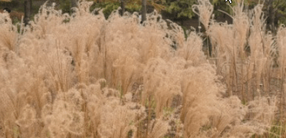 서울근교 단풍 명소 추천