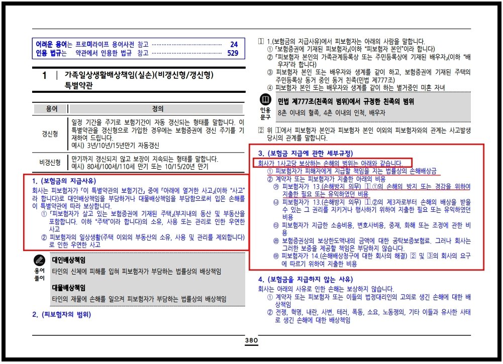 한강 자전거도로에서 발생한 자전거와 보행자 사고의 과실과 보험처리를 확인하는 모습