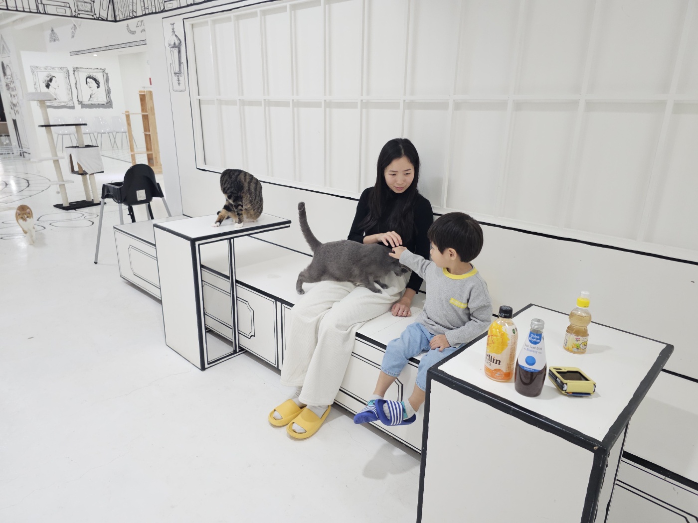 야옹이네 고양이 카페