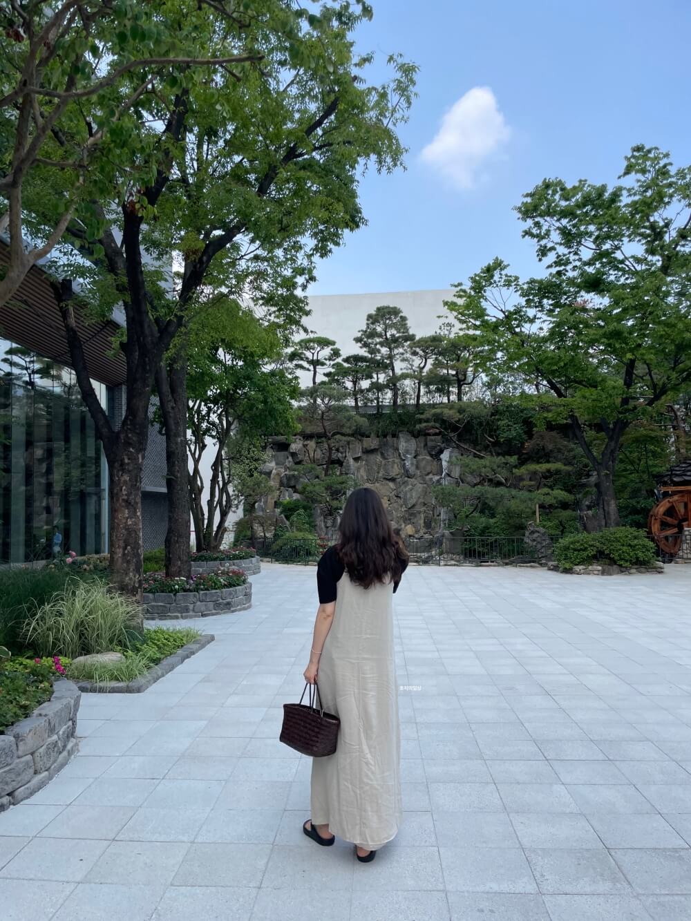 드래곤백 트리플점프 다크브라운 - 베이지색 코디