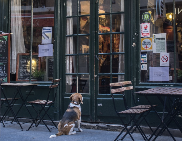 영화 800 , 1937년 상하이 사행창고 전투 중일전쟁 실화 전쟁영화