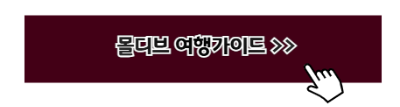 1월 신혼여행지 추천