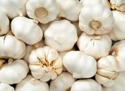 위암에 좋은 음식 10가지