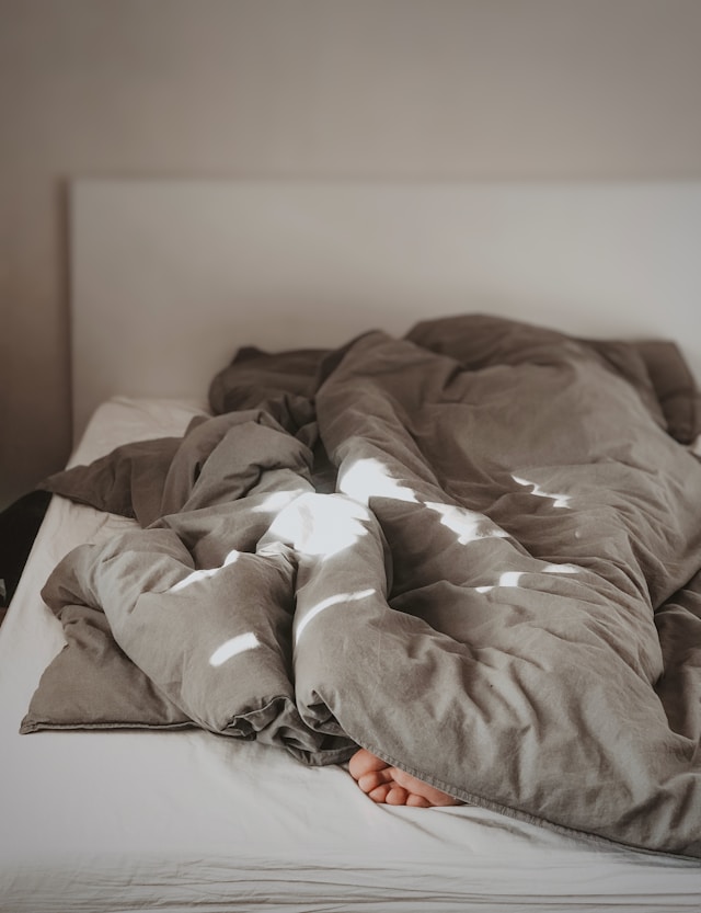 수면 패턴 분석