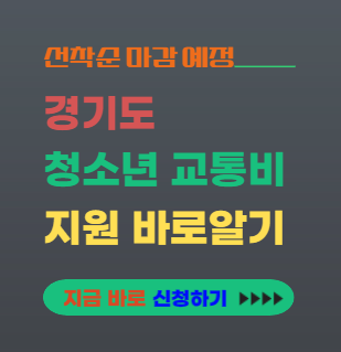 경기도 청소년 교통비 지원 대표이미지