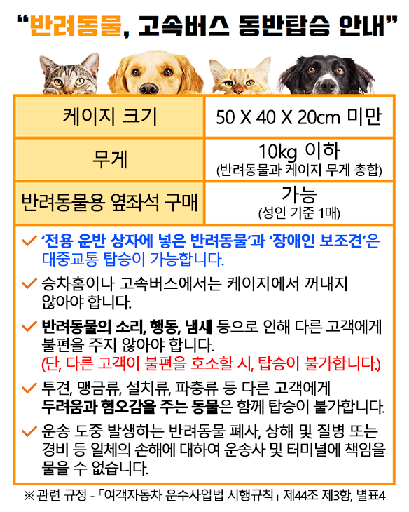 고속버스 반려동물