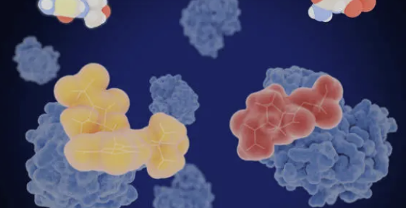 면역관문억제제(ICI) 반응성 예측을 위한 T cell metabolomics 분석