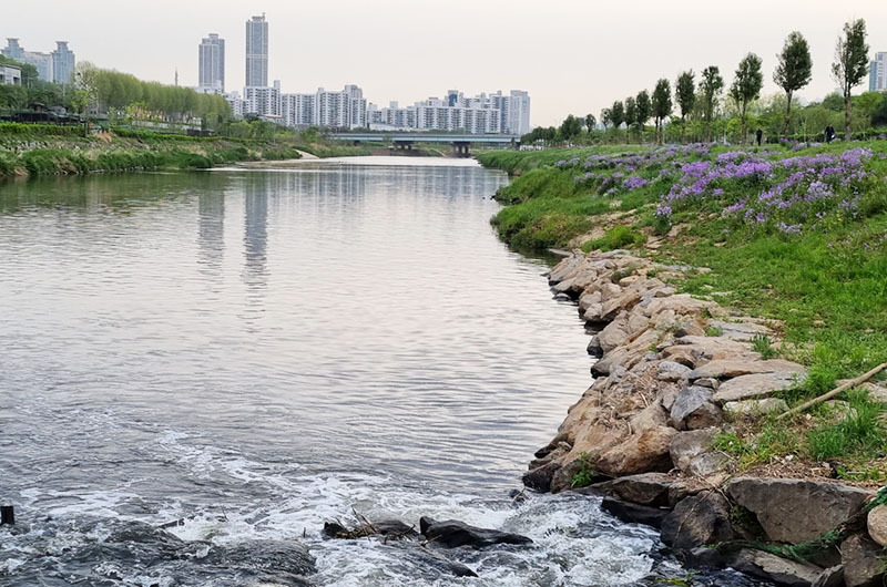 신도림동 안양천파크골프장 미리보기