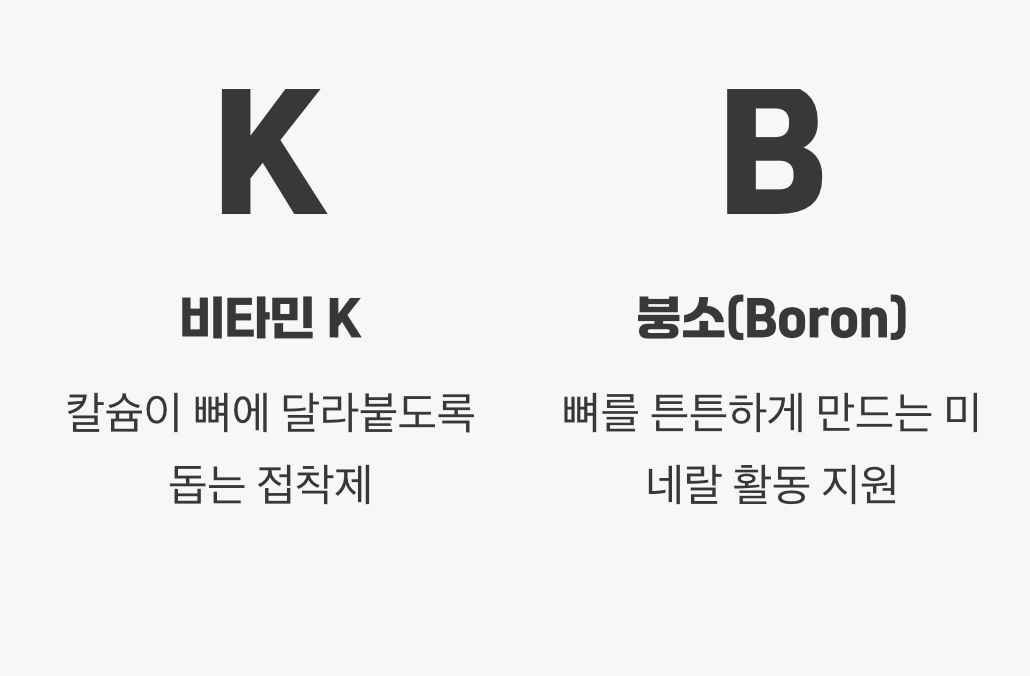 2. 뼈를 위한 가장 달콤한 적금, '뼈 건강'
