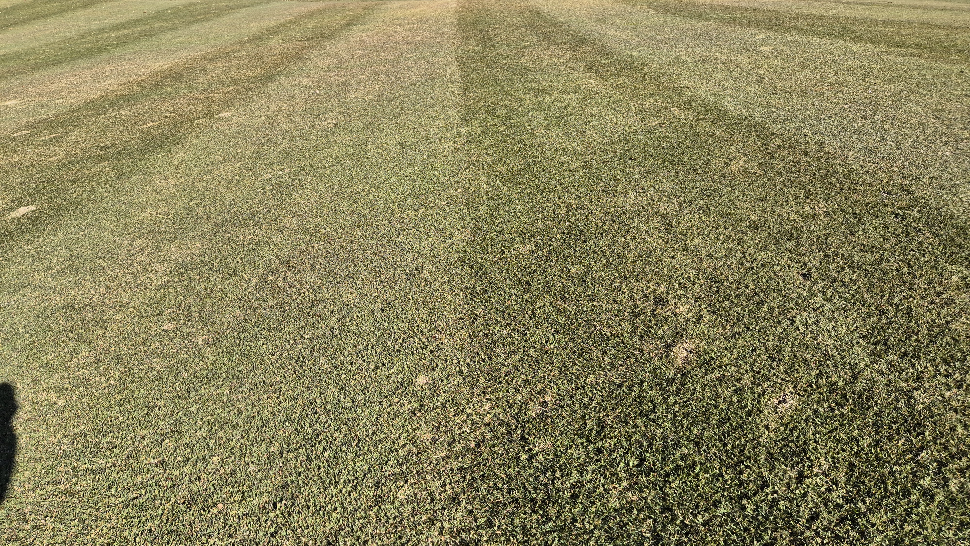 동촌gc 코스 관리 상태