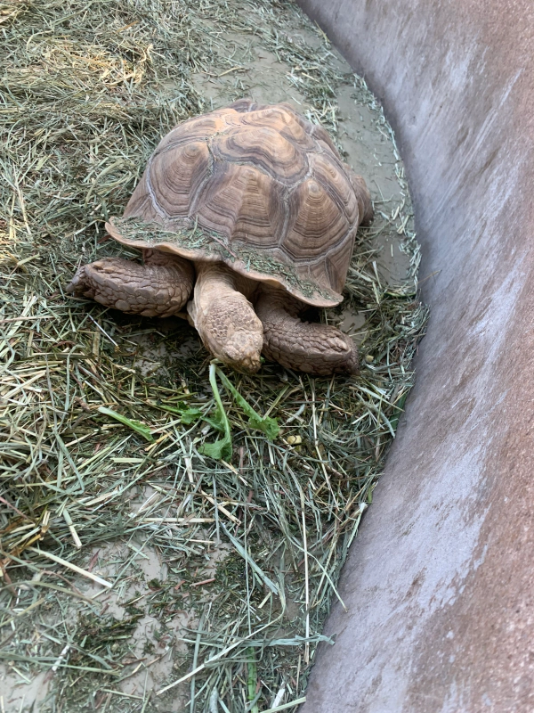 오산버드파크 할인 입장료 및 주차장 가족 여행 후기