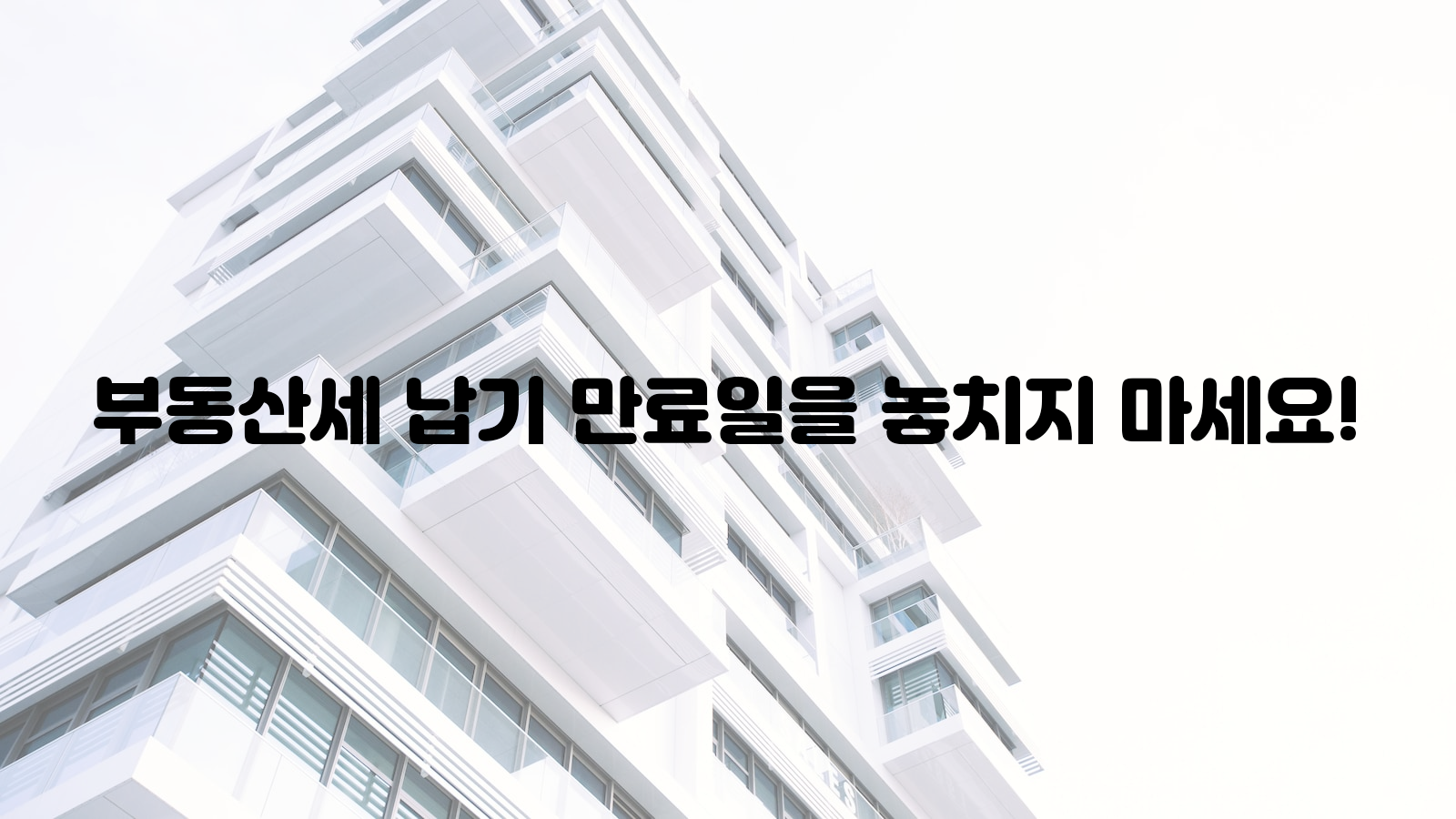 부동산세, 납기 만료일, 놓치지 마세요