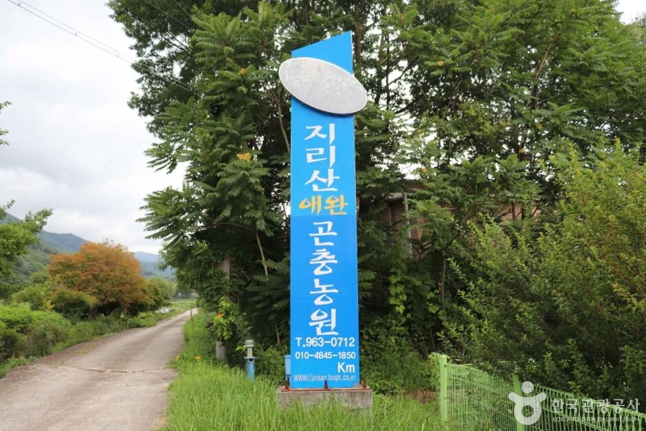 함양 가볼만한곳 베스트 10