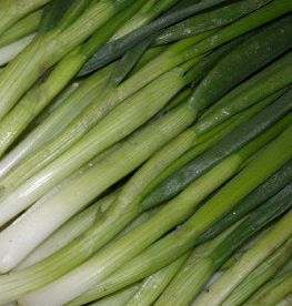 대파 효능과 부작용 고르는법