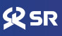 srt 할인