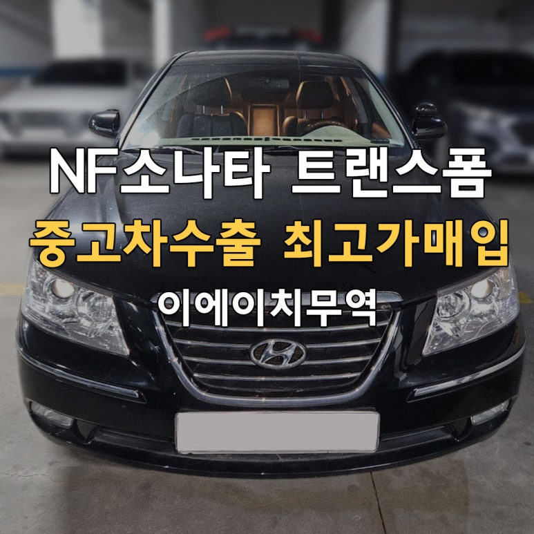 nf소나타트랜스폼