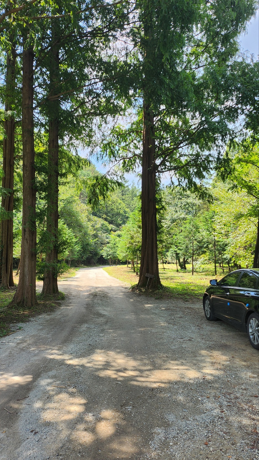논산벌곡-온빛자연휴양림