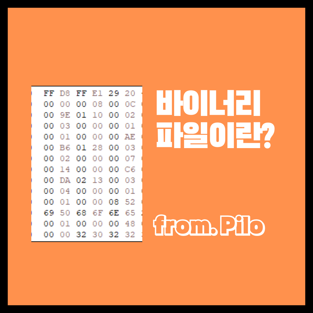 바이너리 확장자