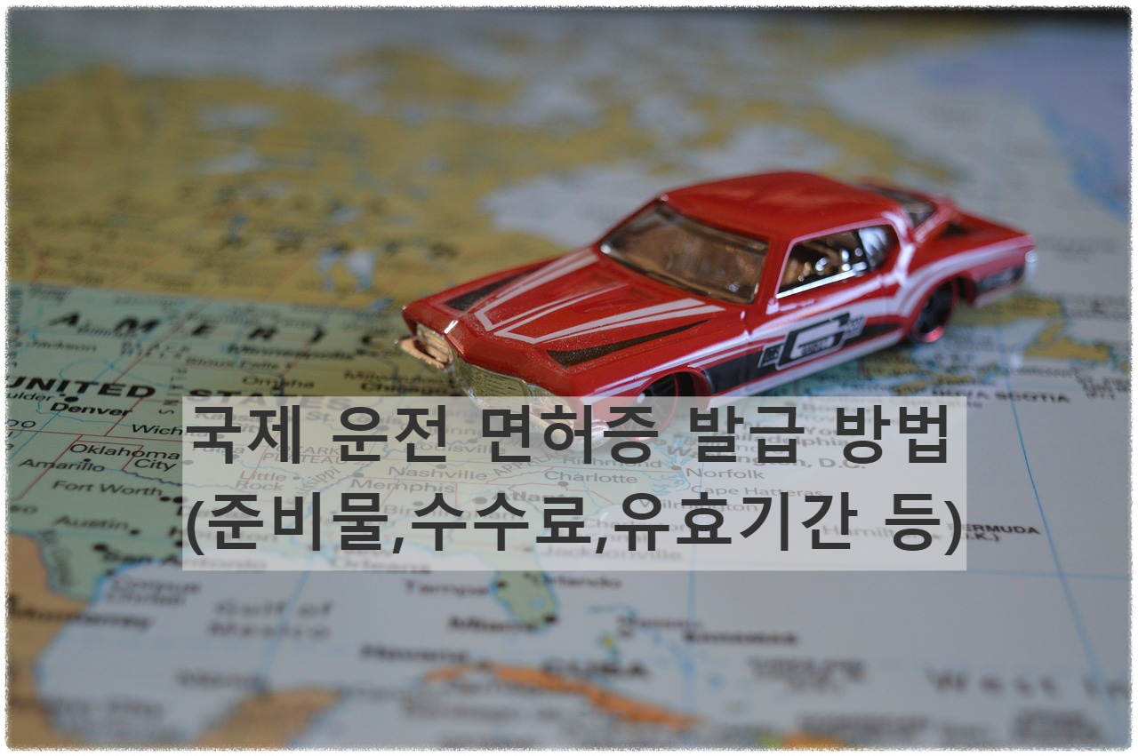 국제 운전 면허증 발급