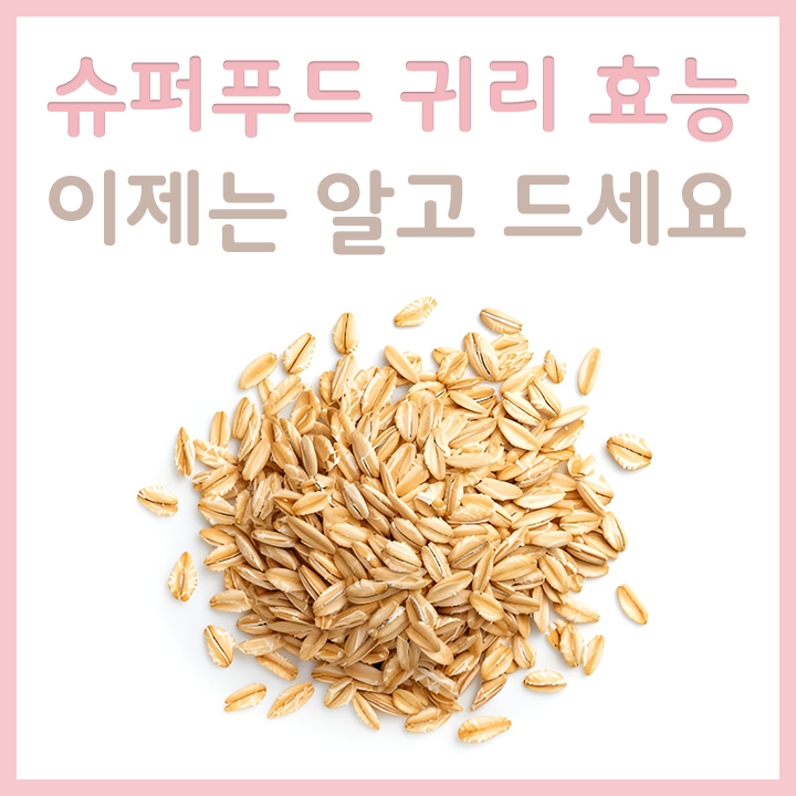 귀리-외형