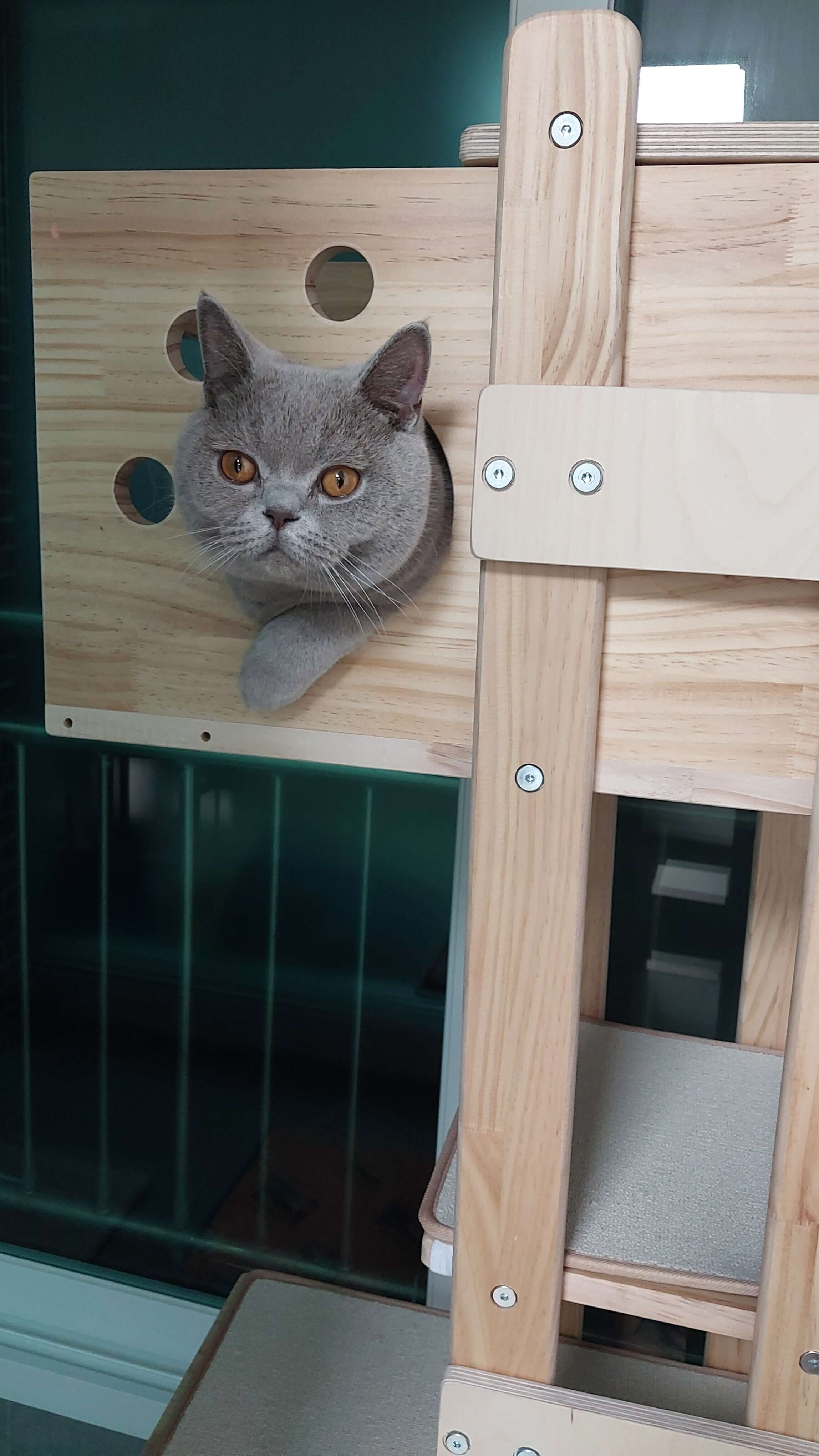 캣타워 중에서 가장 좋아하는 공간입니다.