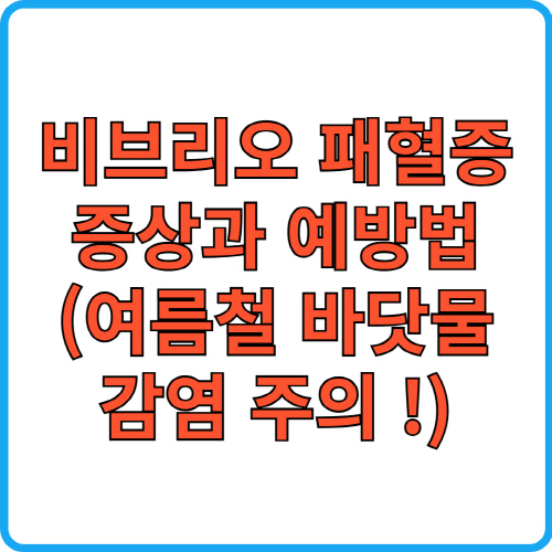 비브리오 패혈증 증상과 예방법