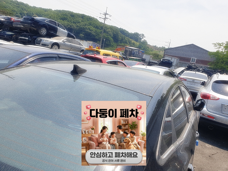 말소사실증명서 보험 세금 확인