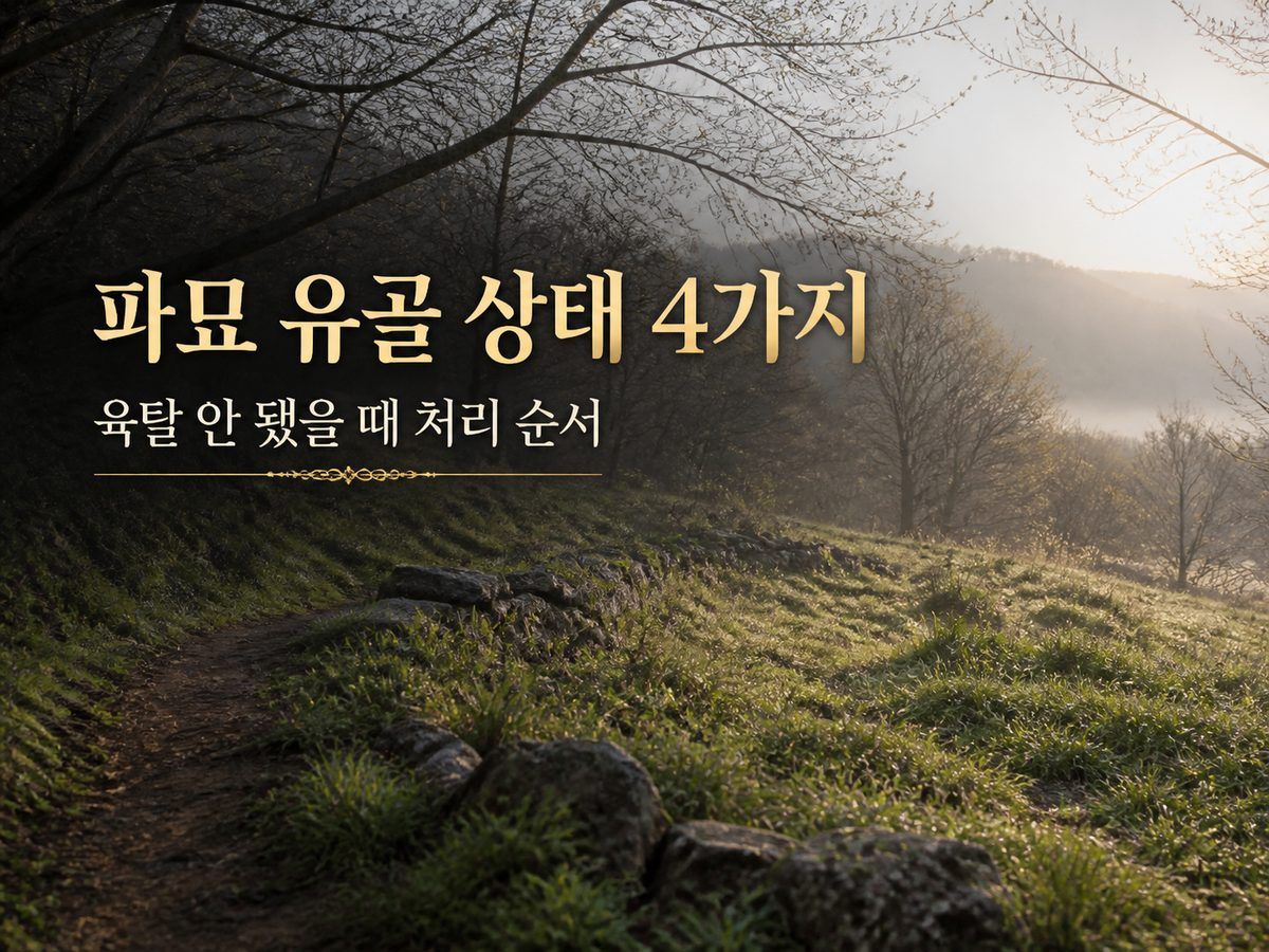 파묘 유골 상태 4가지, 육탈 안 됐을 때 처리 순서
