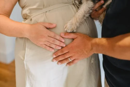 임신하는꿈-해몽