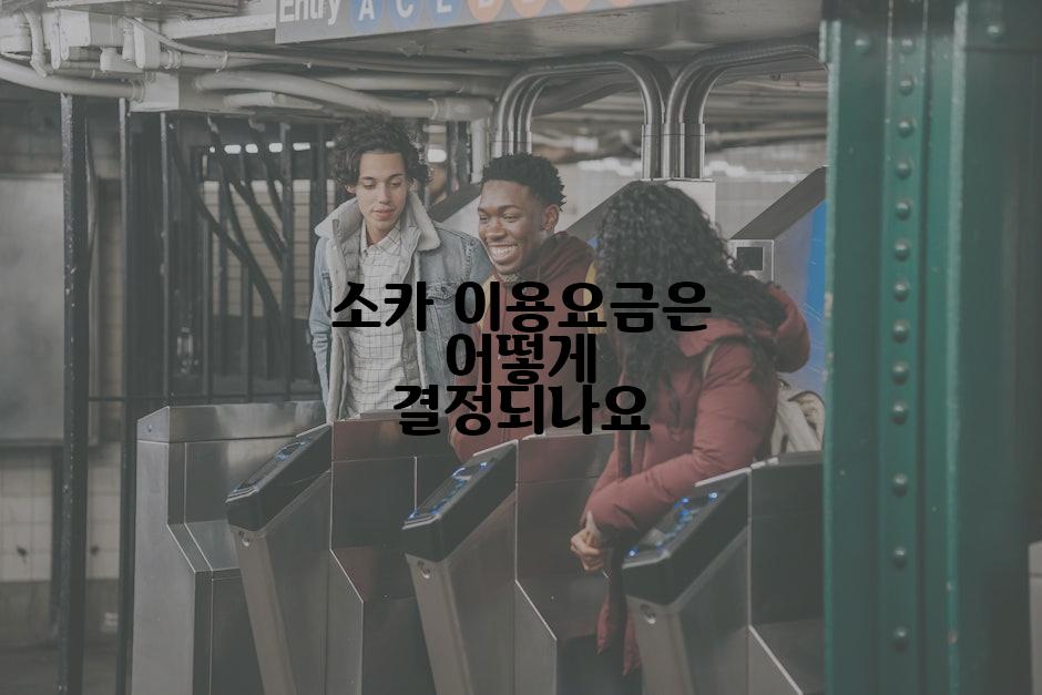 소카 이용요금은 어떻게 결정되나요