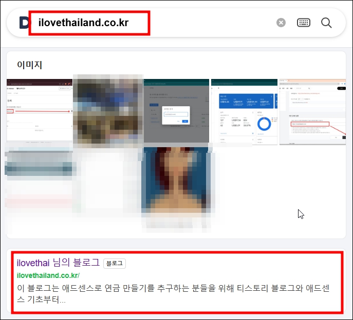 티스토리 최적화 확인