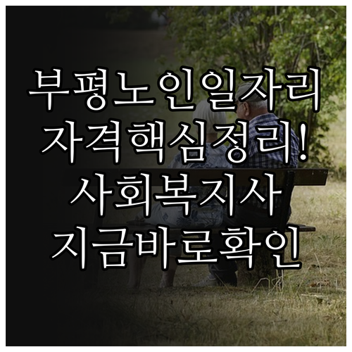 부평구 시니어클럽 노인일자리 참여 자..