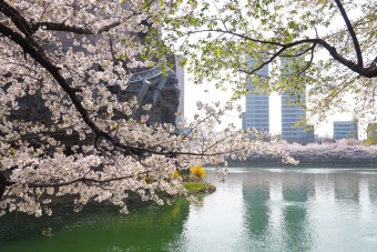 석촌호수 벚꽃축제 주차장