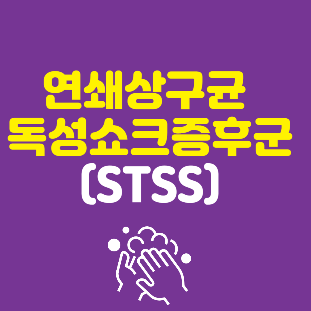 연쇄상구균 독성쇼크증후군(STSS)증상,감염경로,치료방법