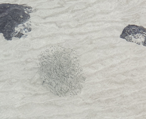 제주도 한달살기 함덕해수욕장