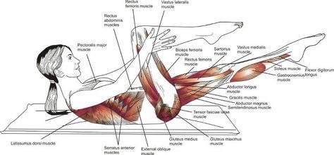 필라테스 강사 해부학 기초 사진 첨부