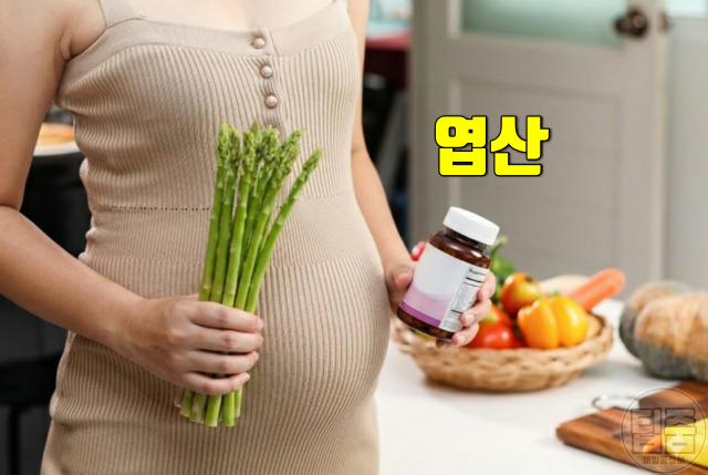 아스파라거스 효능 임신 엽산