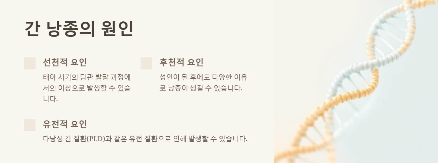 간에 물혹이 생기는 이유