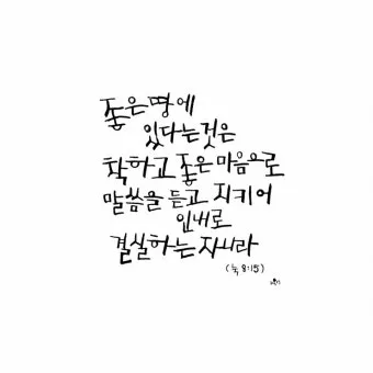 매일성경 묵상과 깨달음(누가복음 8장 1-15절) 씨 뿌리는 자의 비유 말씀_8