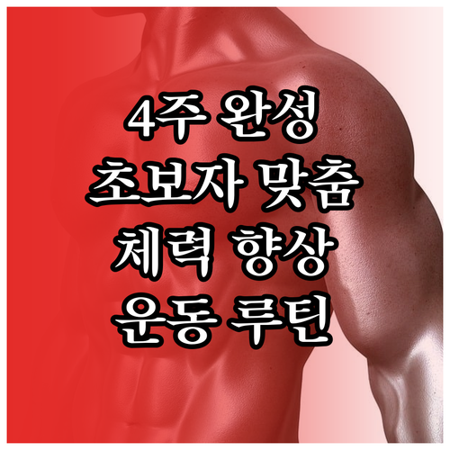 체력 향상을 위한 4주 완성 운동 루..