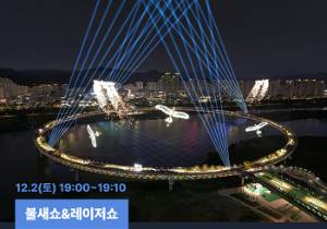 불새쇼 & 레이저쇼