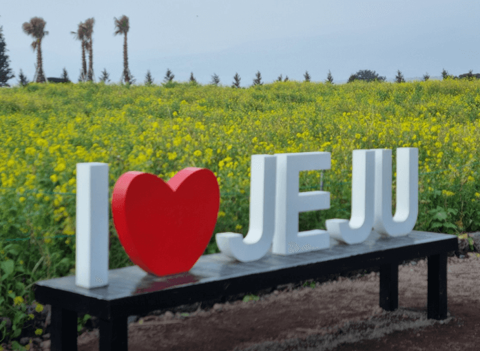 2023 휴애리 매화축제 제주도 가볼만한 곳 휴애리 자연생활공원