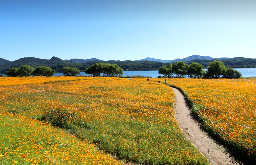 도심속 여행 사진