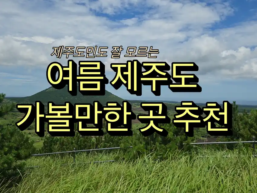 여름 제주도 가볼만한 곳 추천