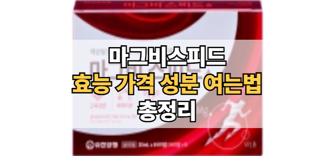 마그비-스피드-효능-가격-성분-여는법
