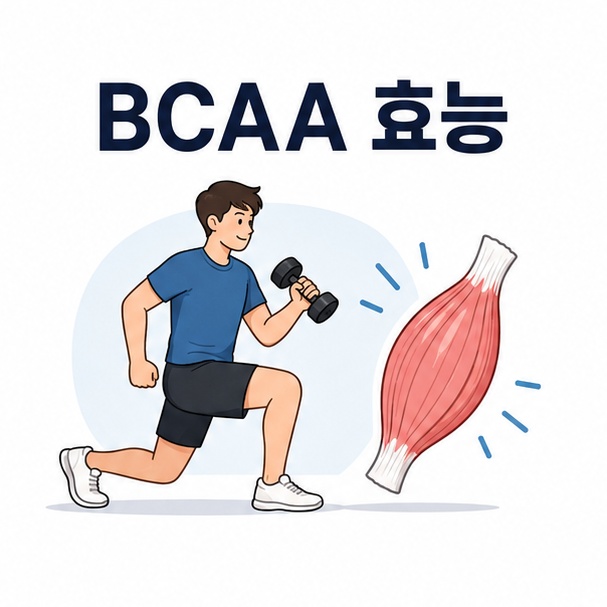 운동하는 사람과 근육 아이콘을 이용해 BCAA가 운동 영양에 사용되는 아미노산임을 보여주는 그림