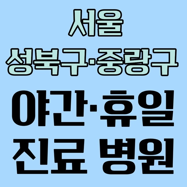 서울 성북 중랑구 야간·휴일 진료 병원